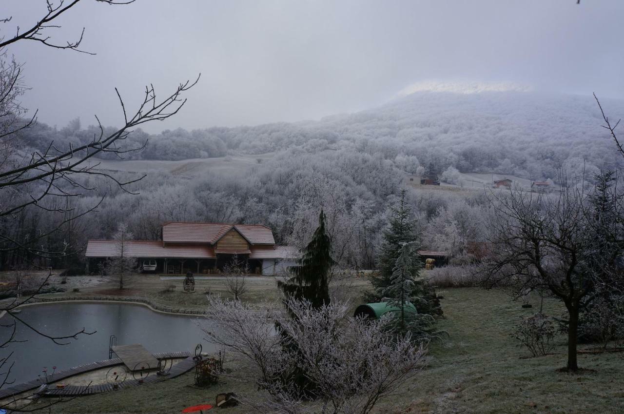 Country House With A Pool In Medvednica Nature Park Zagreb Exterior foto